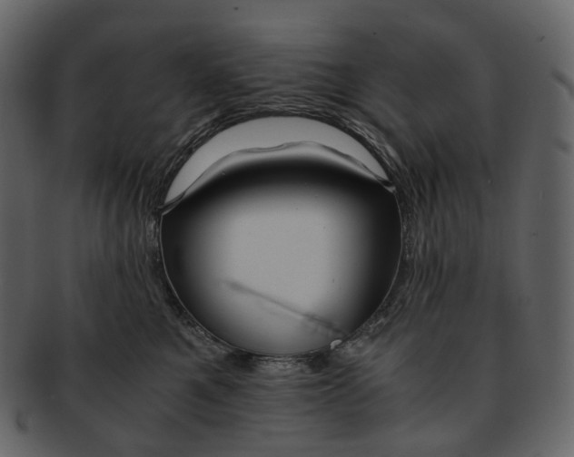 X0000092310521200710051241