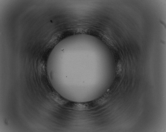 X0000092310522200710051241