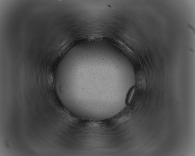 X0000092310523200710051241