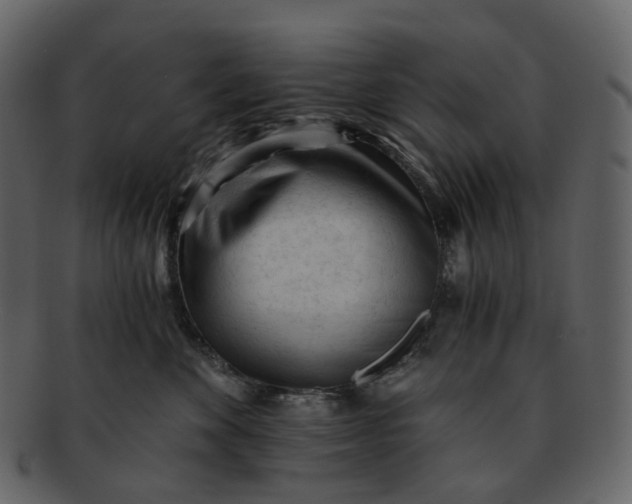 X0000092310524200710051241