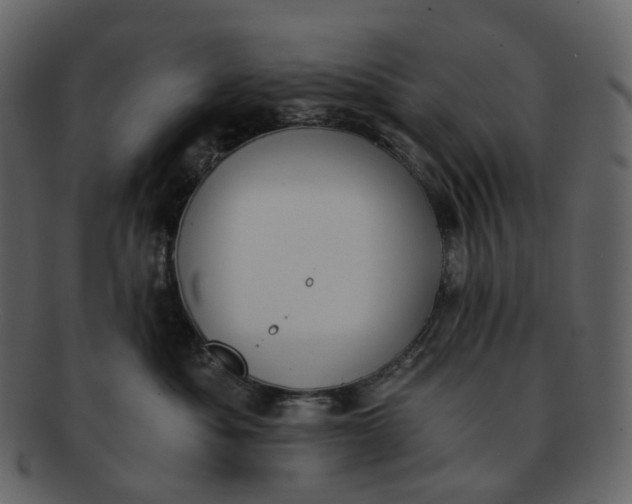 X0000092310525200710051241