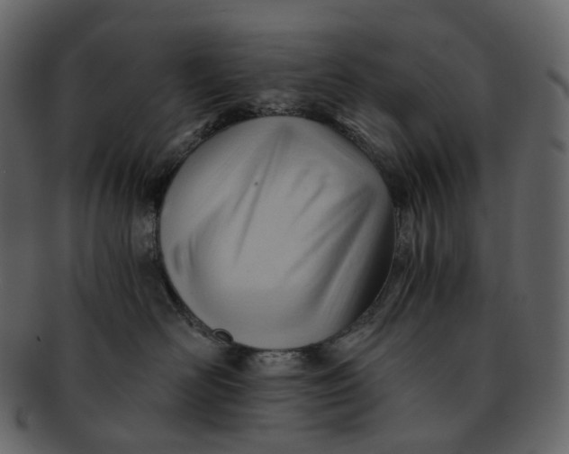 X0000092310526200710051241