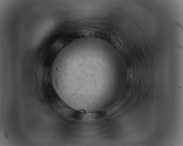 X0000092310527200710051241