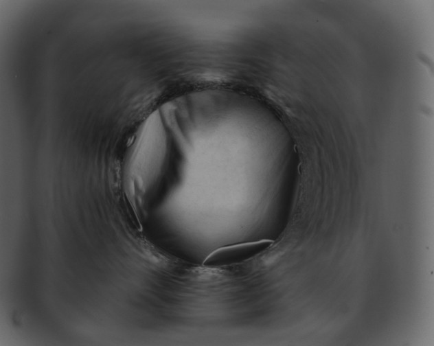 X0000092310528200710051240
