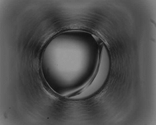 X0000092310530200710051240