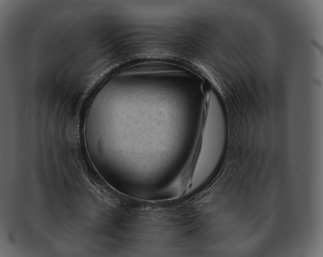X0000092310531200710051240