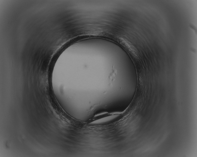 X0000092310532200710051240
