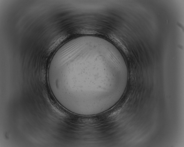 X0000092310533200710051240