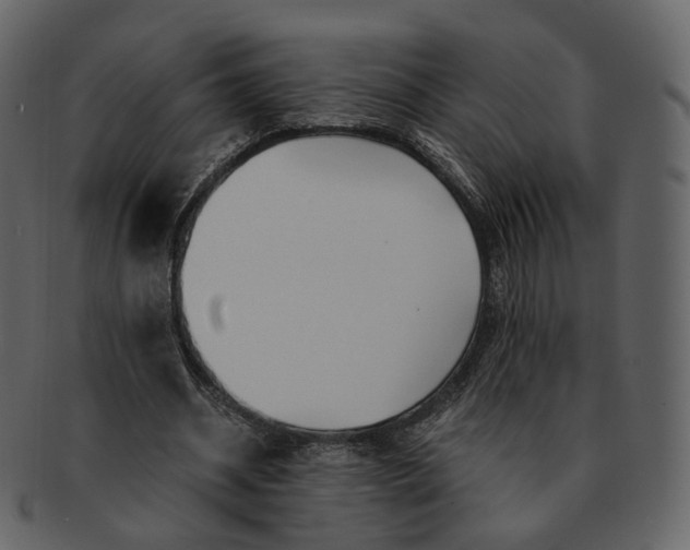 X0000092310534200710051240