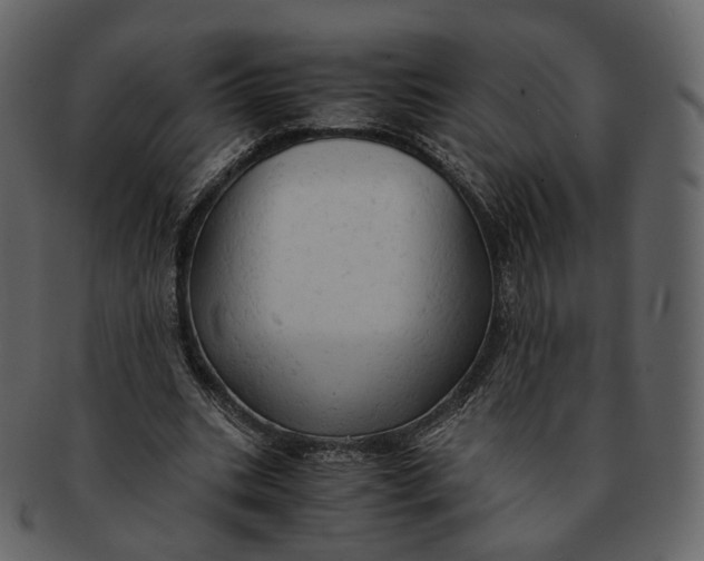 X0000092310535200710051240