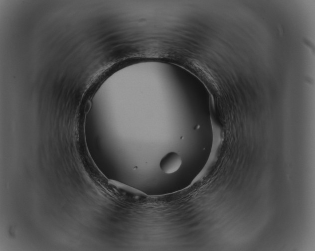 X0000092310536200710051240
