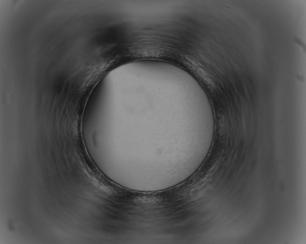 X0000092310537200710051240