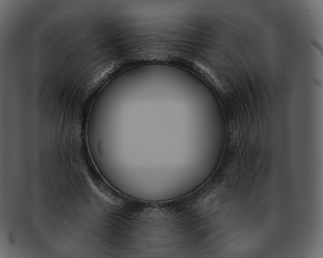 X0000092310538200710051240