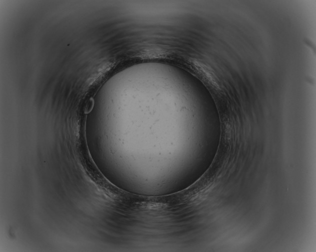 X0000092310539200710051240