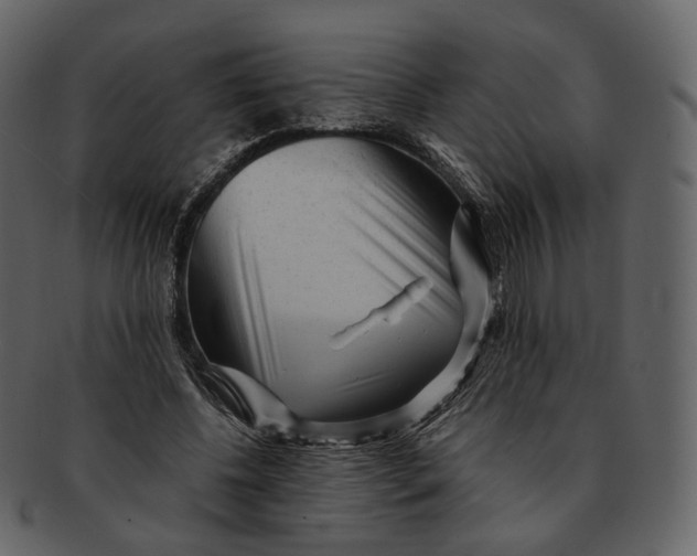 X0000092310540200710051240