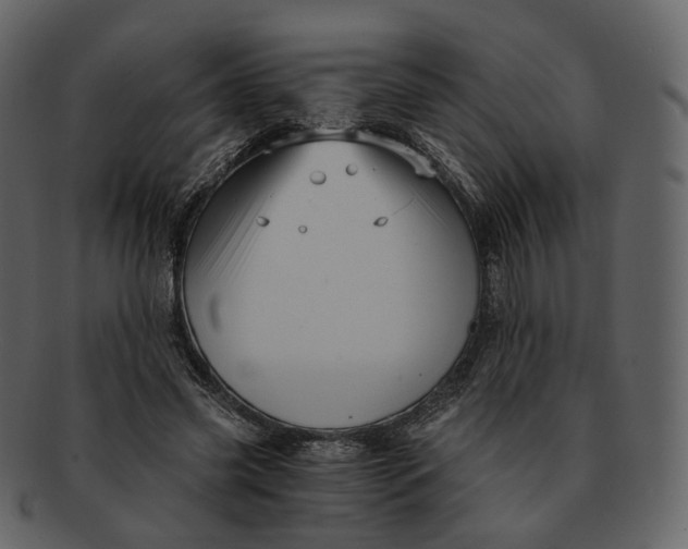 X0000092310541200710051240