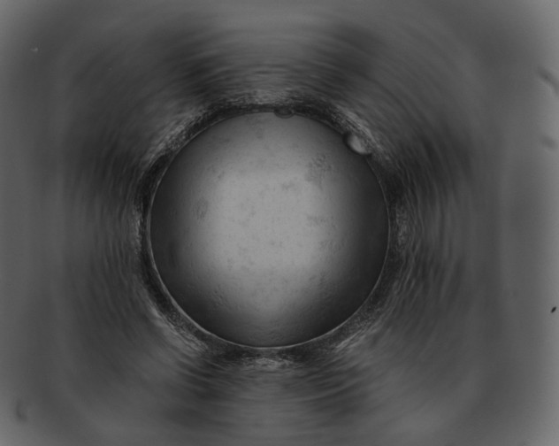 X0000092310542200710051240