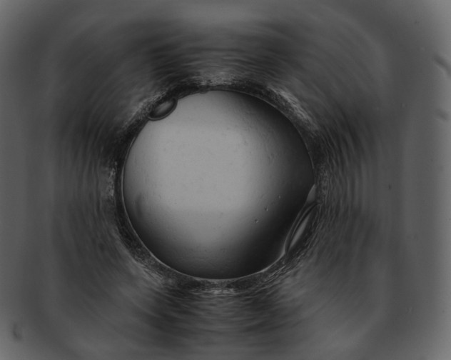 X0000092310543200710051240