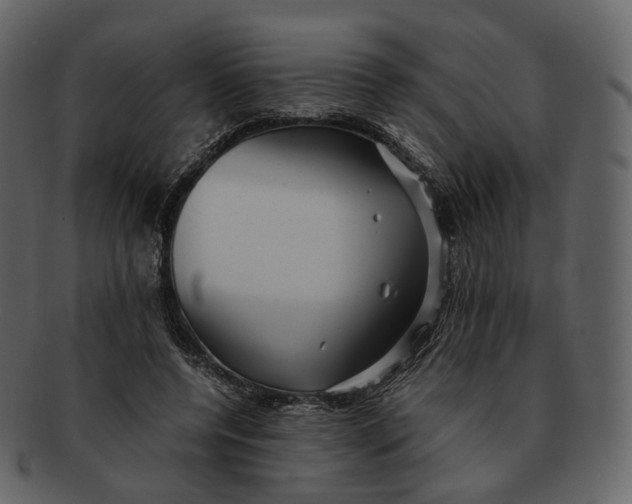 X0000092310544200710051240