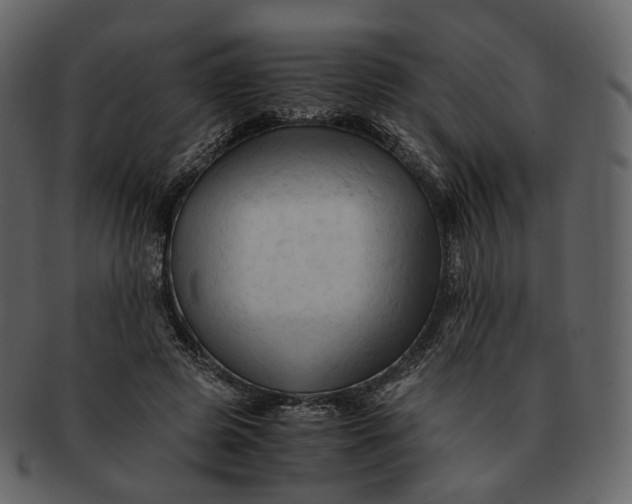 X0000092310545200710051240