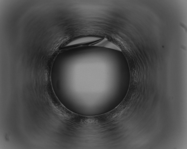 X0000092310546200710051240