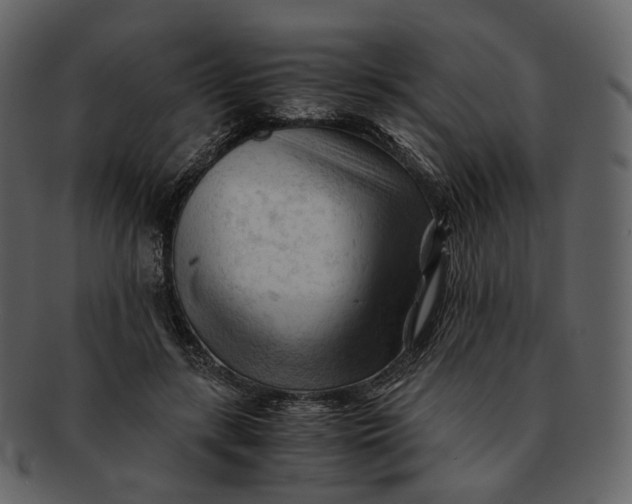 X0000092310547200710051240