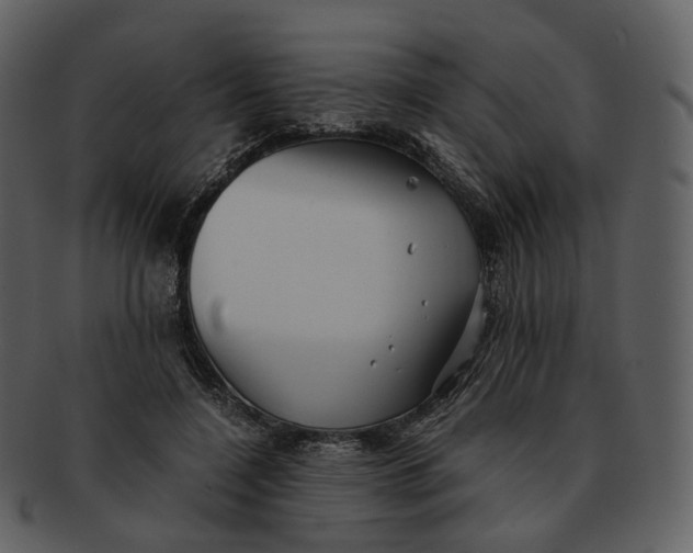 X0000092310548200710051240