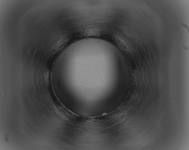 X0000092310550200710051240