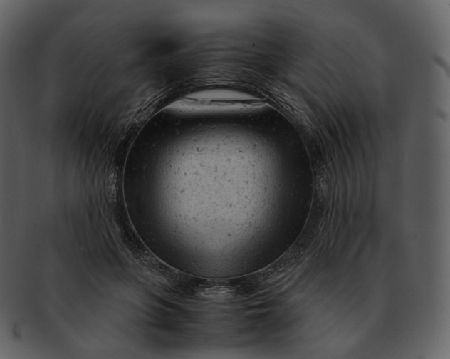 X0000092310551200710051240
