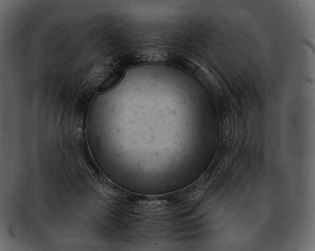 X0000092310553200710051240