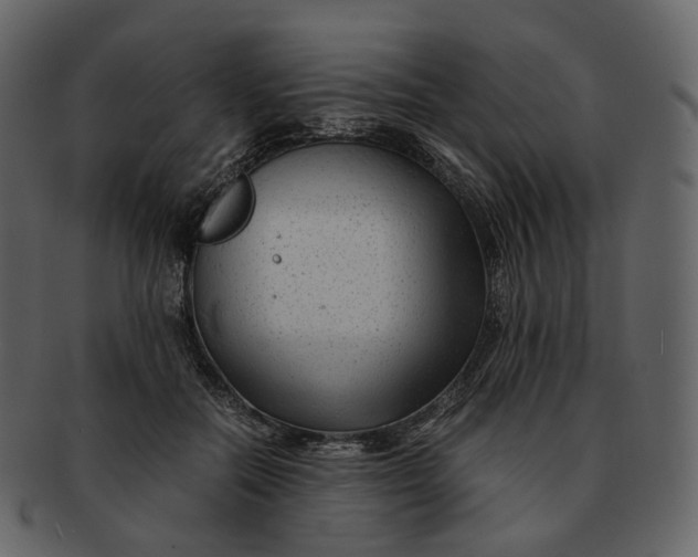 X0000092310554200710051240