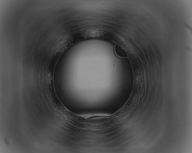 X0000092310555200710051240