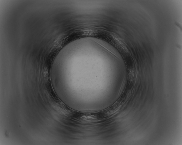 X0000092310557200710051240