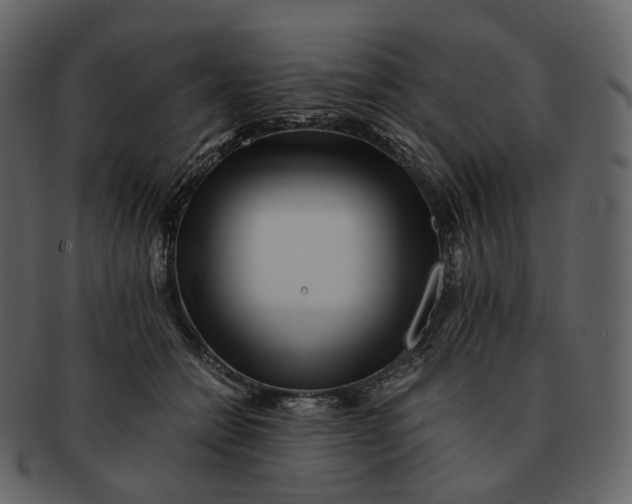X0000092310558200710051240