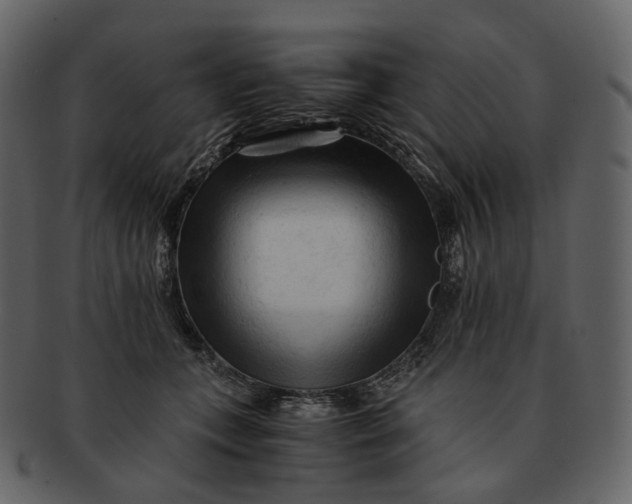 X0000092310559200710051240