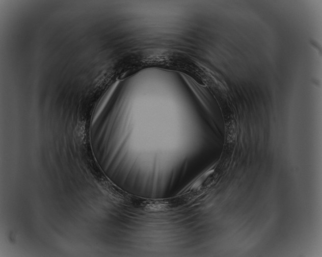 X0000092310560200710051240