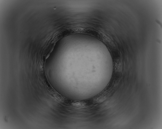 X0000092310561200710051240