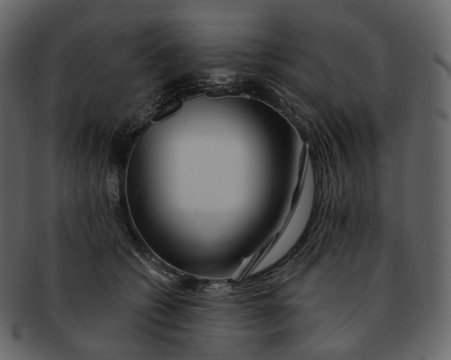 X0000092310562200710051240