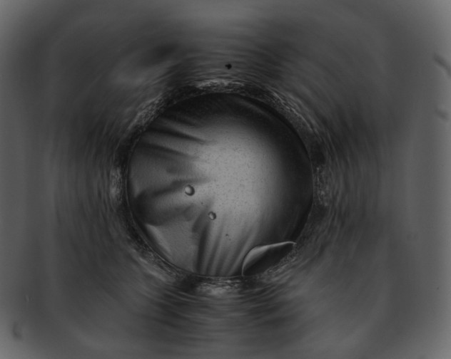 X0000092310563200710051240