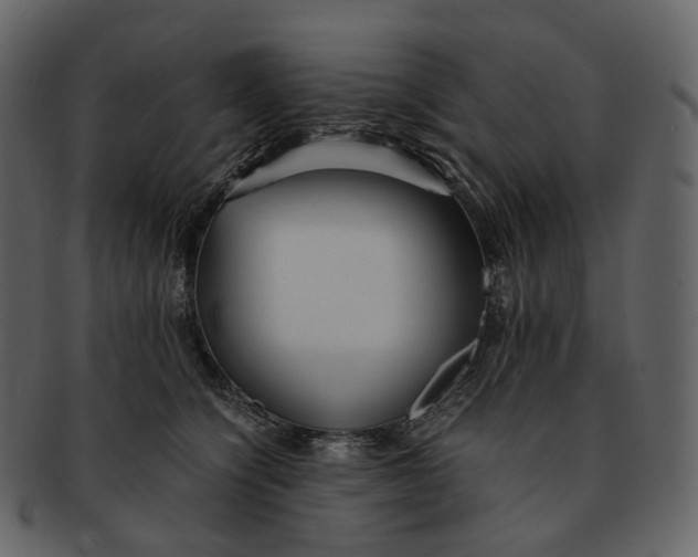 X0000092310564200710051240