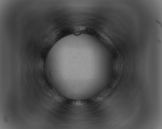 X0000092310565200710051240