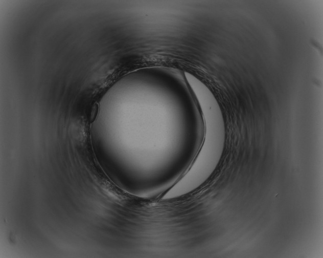 X0000092310566200710051240