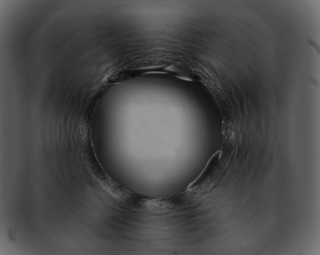 X0000092310568200710051240
