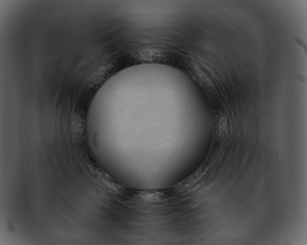 X0000092310569200710051240
