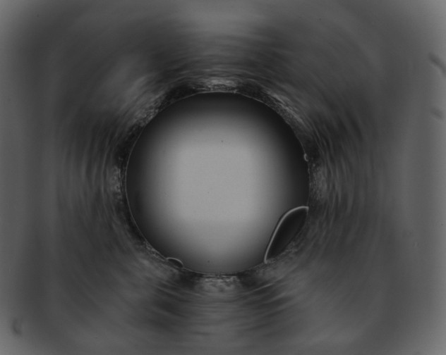 X0000092310571200710051240