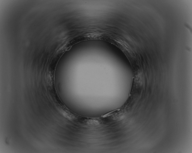 X0000092310572200710051240