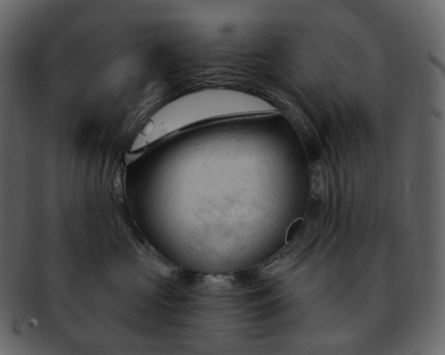 X0000092310573200710051240