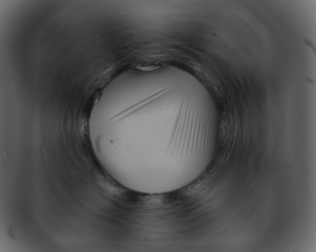 X0000092310574200710051240