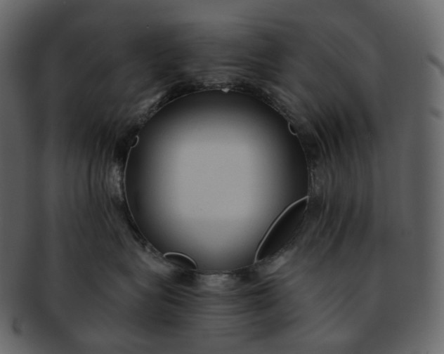 X0000092310575200710051240