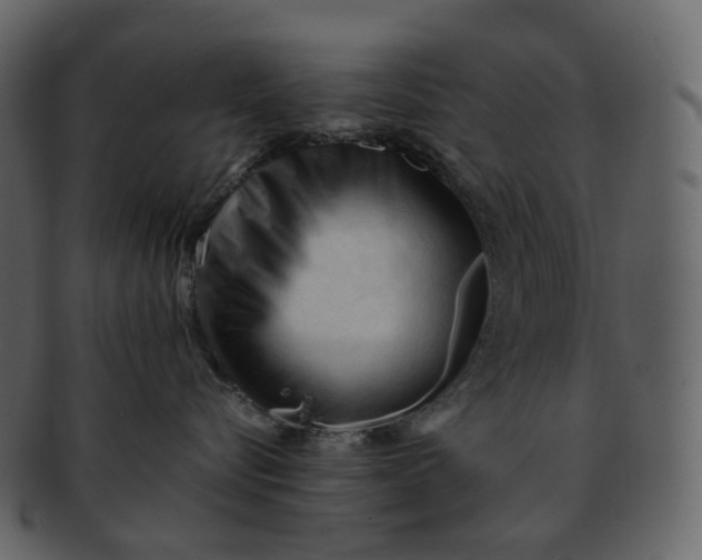 X0000092310576200710051240